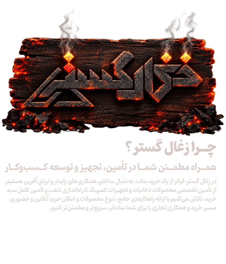 سکشن
